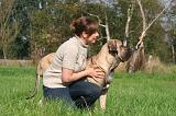 ADULTE ET CHIEN 497